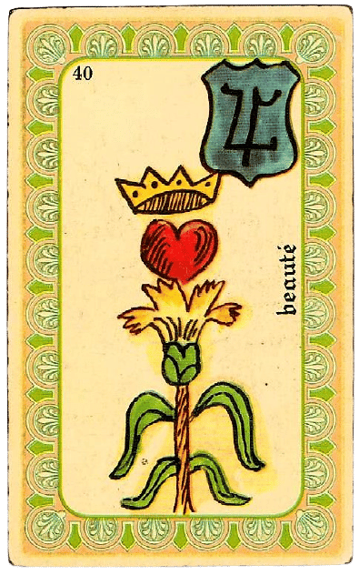 Belline 40 beaute 2018 05 17 removebg preview