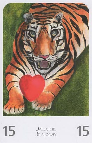 15 jalousie oracle amour