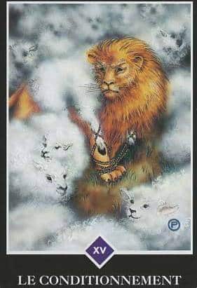 15 le conditionnement osho zen