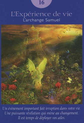 16 l experience de vie tarot des anges