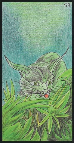 57 le lynx oracle ge